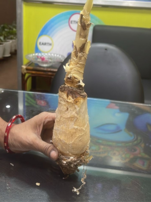 Kuber Handi